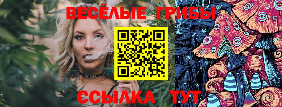 Псилоцибиновые грибы мухоморы  Псилоцибиновые грибы MAGIC MUSHROOMS  Нальчик  Вход с VPN 